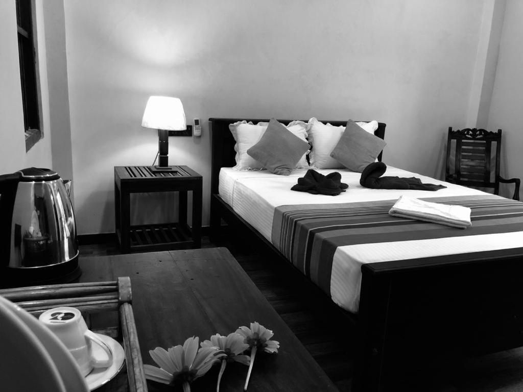 Hotel The Green Station à Dikwella Extérieur photo